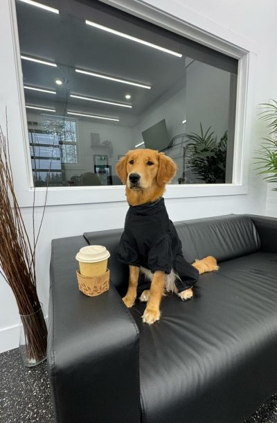 627183862_1559552239511735_2863395557551788974_n